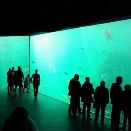 Koselig Garasjeloft! *