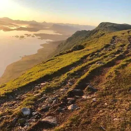 Koselig Garasjeloft!