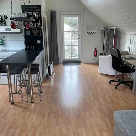 Koselig Garasjeloft! Langevag