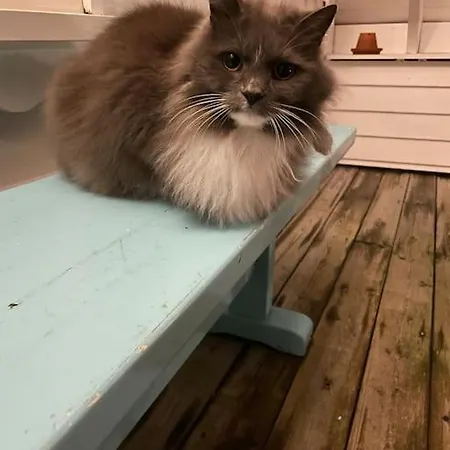 Koselig Garasjeloft! شقة