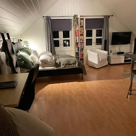 Koselig Garasjeloft! * Langevag