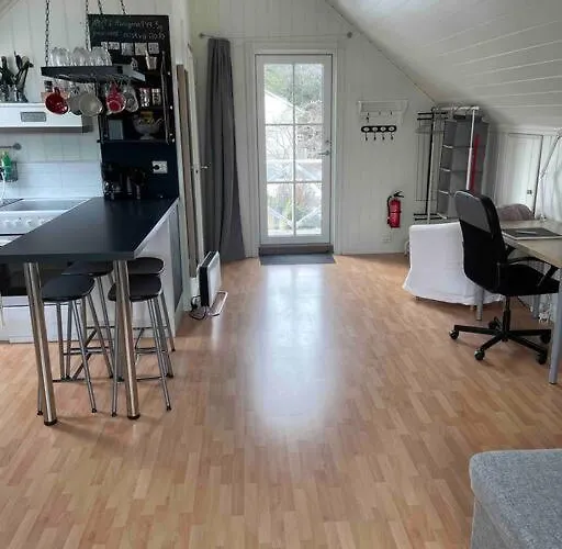 Koselig Garasjeloft! Langevag